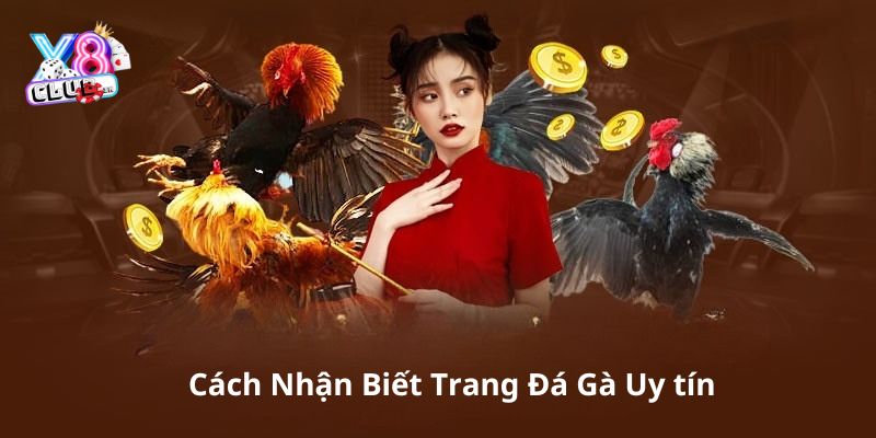 trang cá cược đá gà trực tuyến uy tín